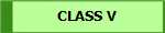 CLASS V