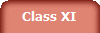 Class XI