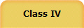 Class IV