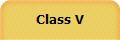 Class V