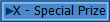X - Special Prize